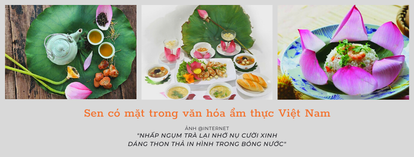 Phan Thùy Dương