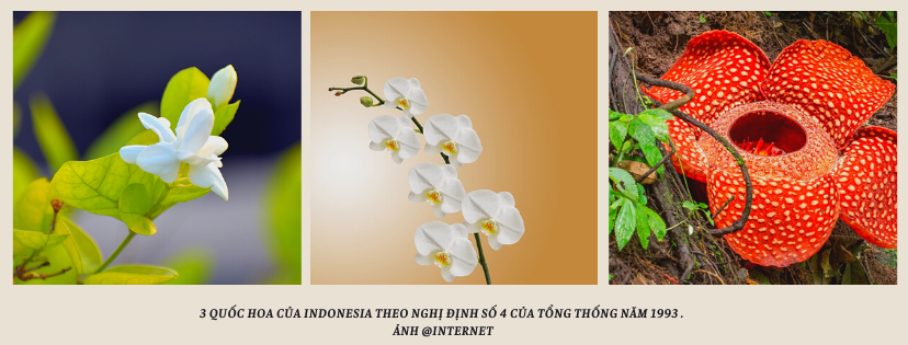 Quốc hoa Indonesia
