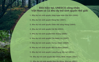 11 khu dự trữ sinh quyển thế giới của Việt Nam.