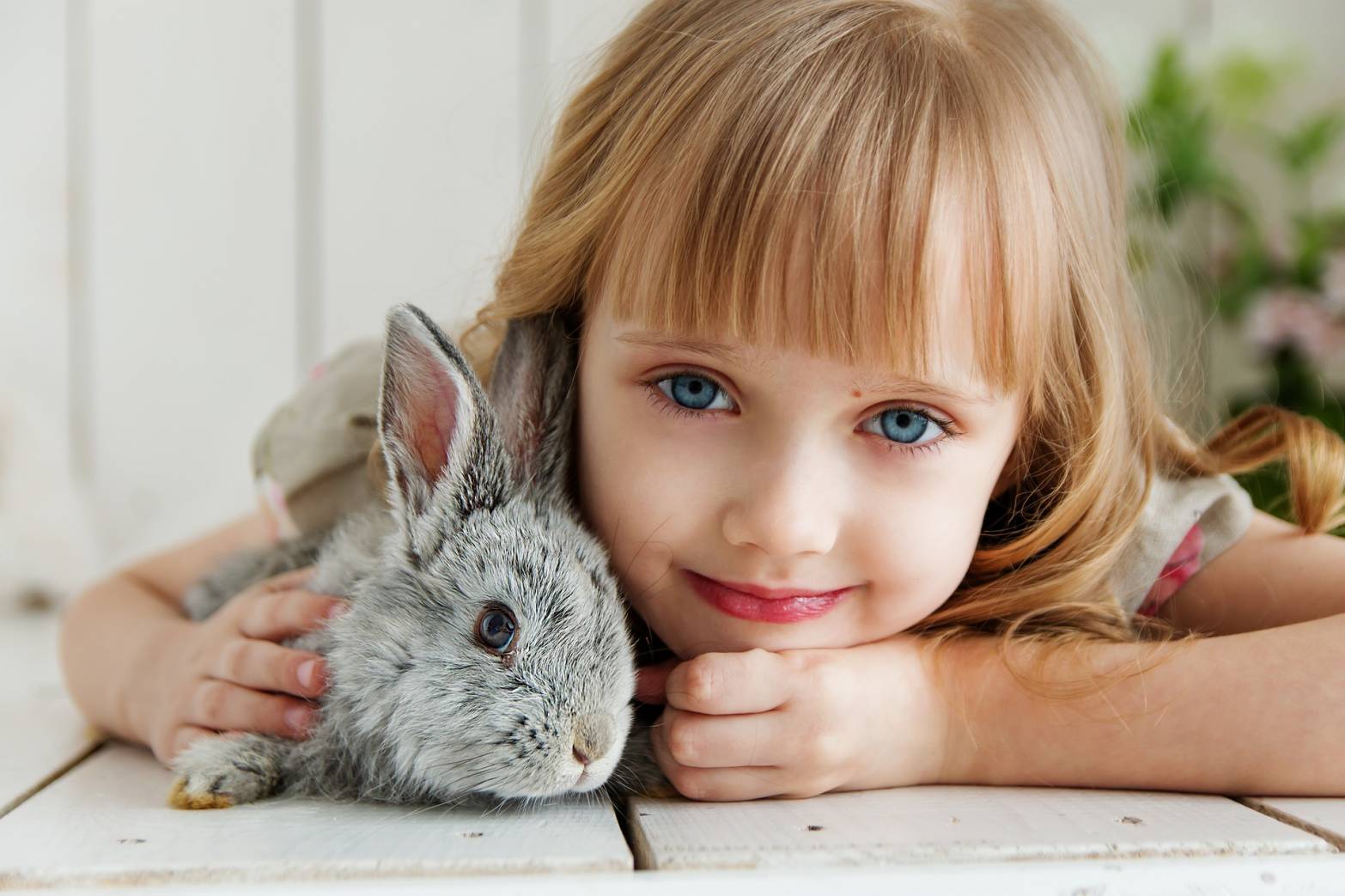 Thỏ là đồng vật nhìn được phía sau mà không cấn quay đầu lại.