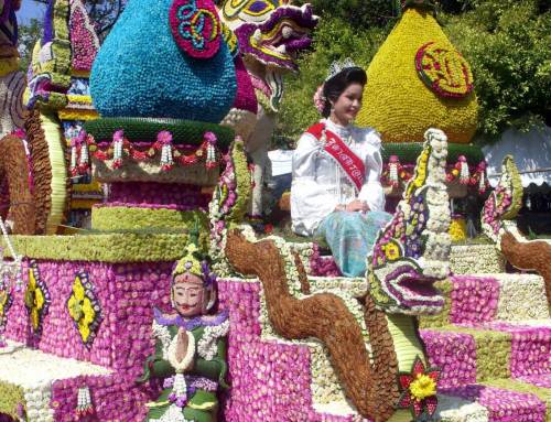 Lễ hội hoa Chiang Mai (Chiang Mai flower festival)