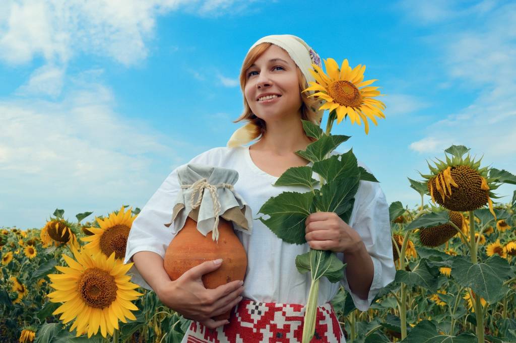 Hoa hướng dương trên đất Ukraine